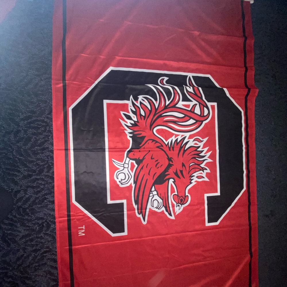 University Of South Carolina Flag